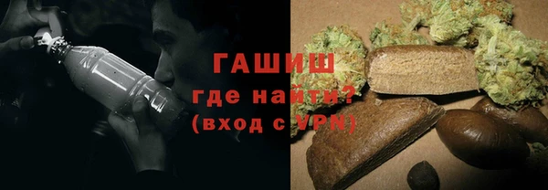 прущие грибы Верхний Тагил