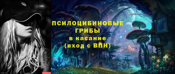 прущие грибы Верхний Тагил