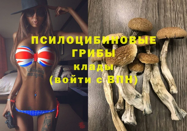 spice Снежинск
