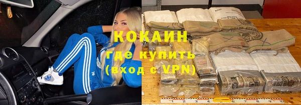 прущие грибы Верхний Тагил