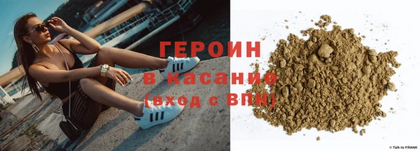 прущие грибы Верхний Тагил